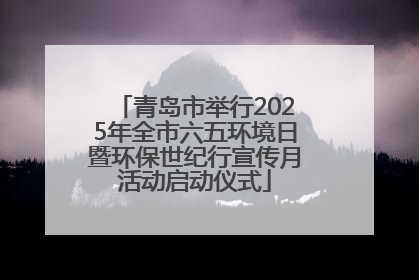 青岛市举行2025年全市六五环境日暨环保世纪行宣传月活动启动仪式