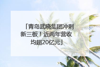 青岛武晓集团冲刺新三板！近两年营收均超20亿元