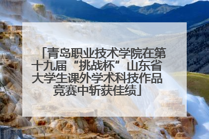 青岛职业技术学院在第十九届“挑战杯”山东省大学生课外学术科技作品竞赛中斩获佳绩
