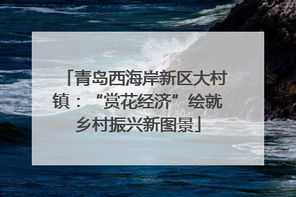 青岛西海岸新区大村镇：“赏花经济”绘就乡村振兴新图景