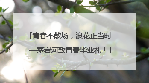 青春不散场，浪花正当时——茅岩河致青春毕业礼！