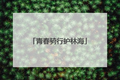 青春骑行护林海