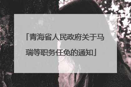 青海省人民政府关于马瑞等职务任免的通知