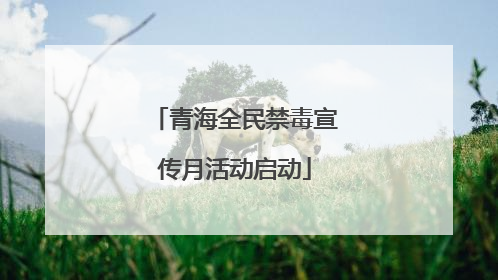 青海全民禁毒宣传月活动启动