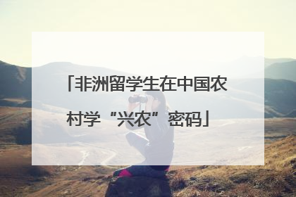 非洲留学生在中国农村学“兴农”密码