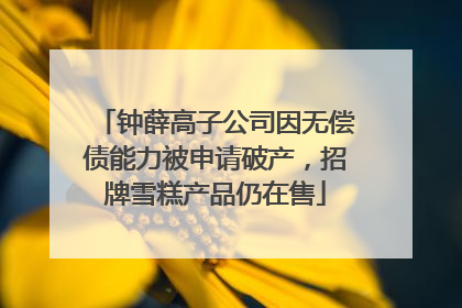 钟薛高子公司因无偿债能力被申请破产，招牌雪糕产品仍在售