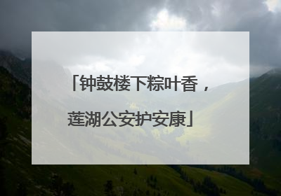 钟鼓楼下粽叶香，莲湖公安护安康