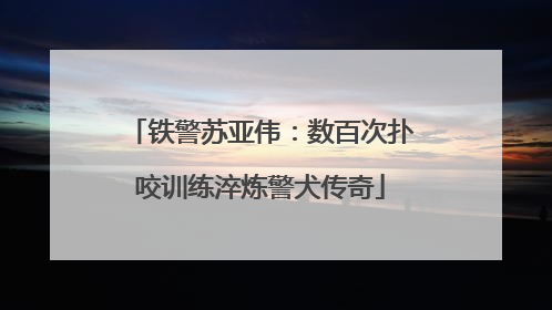 铁警苏亚伟：数百次扑咬训练淬炼警犬传奇