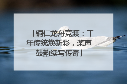 铜仁龙舟竞渡：千年传统焕新彩，桨声鼓韵续写传奇