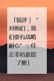 锐评｜“对他们，我们要有战略耐心”，任正非给谁提了醒