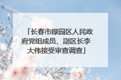 长春市绿园区人民政府党组成员、副区长李大伟接受审查调查