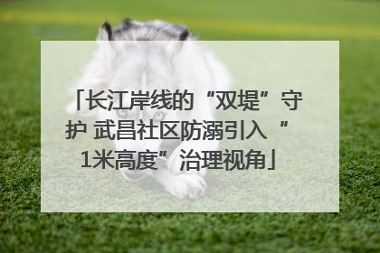 长江岸线的“双堤”守护 武昌社区防溺引入“1米高度”治理视角