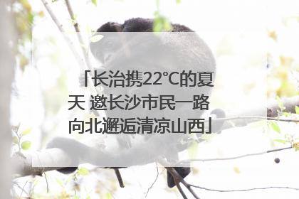 长治携22℃的夏天 邀长沙市民一路向北邂逅清凉山西
