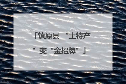 镇原县 “土特产”变“金招牌”