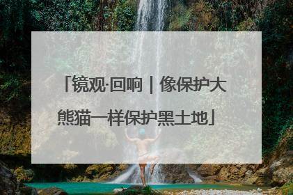 镜观·回响｜像保护大熊猫一样保护黑土地