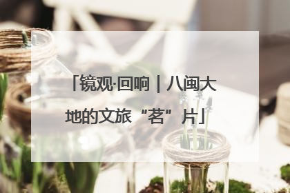 镜观·回响｜八闽大地的文旅“茗”片