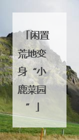 闲置荒地变身“小鹿菜园”