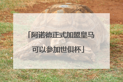 阿诺德正式加盟皇马 可以参加世俱杯