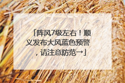 阵风7级左右！顺义发布大风蓝色预警，请注意防范→