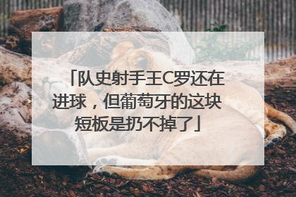 队史射手王C罗还在进球，但葡萄牙的这块短板是扔不掉了