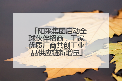阳采集团启动全球伙伴招商，千家优质厂商共创工业品供应链新增量