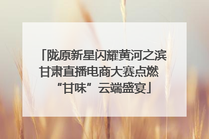 陇原新星闪耀黄河之滨 甘肃直播电商大赛点燃“甘味”云端盛宴