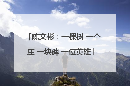 陈文彬：一棵树 一个庄 一块碑 一位英雄