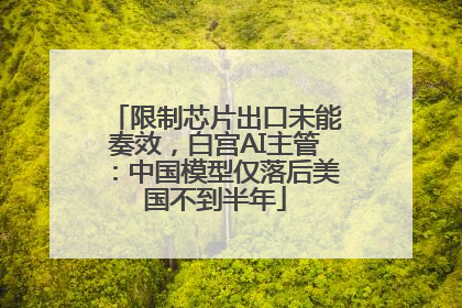限制芯片出口未能奏效，白宫AI主管：中国模型仅落后美国不到半年