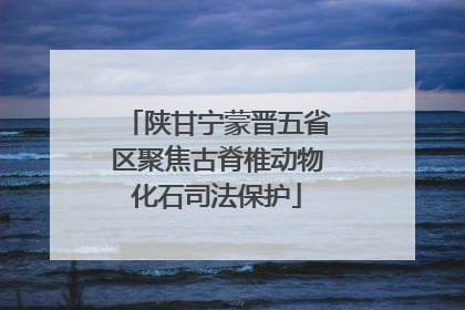 陕甘宁蒙晋五省区聚焦古脊椎动物化石司法保护