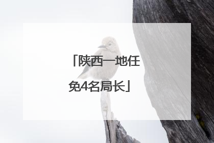 陕西一地任免4名局长