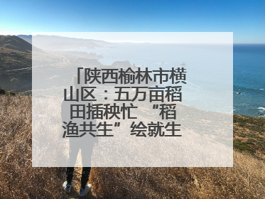 陕西榆林市横山区：五万亩稻田插秧忙 “稻渔共生”绘就生态富民新画卷