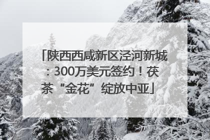 陕西西咸新区泾河新城：300万美元签约！茯茶“金花”绽放中亚