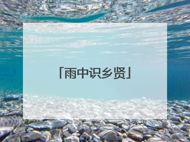 雨中识乡贤