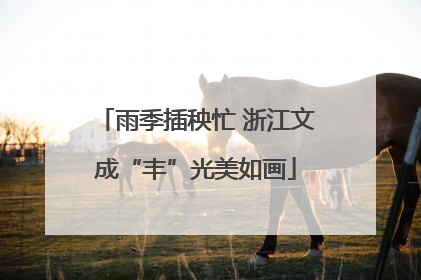 雨季插秧忙 浙江文成“丰”光美如画