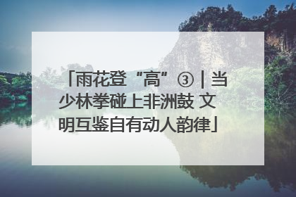 雨花登“高”③｜当少林拳碰上非洲鼓 文明互鉴自有动人韵律