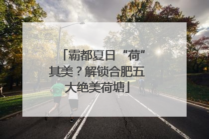 霸都夏日“荷”其美？解锁合肥五大绝美荷塘