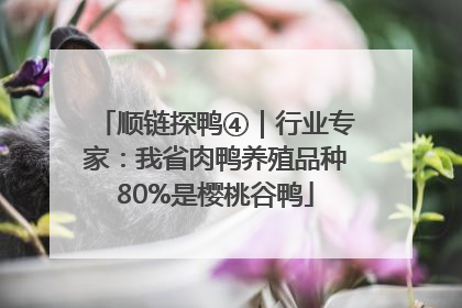 顺链探鸭④｜行业专家：我省肉鸭养殖品种80%是樱桃谷鸭