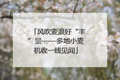 风吹麦浪好“丰”景——多地小麦机收一线见闻