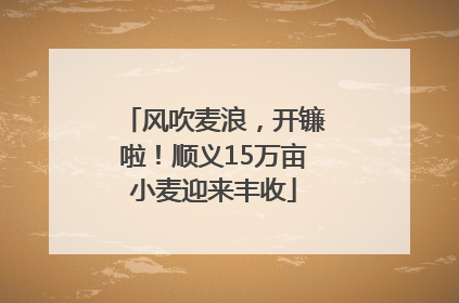 风吹麦浪，开镰啦！顺义15万亩小麦迎来丰收