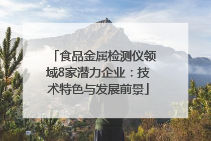 食品金属检测仪领域8家潜力企业：技术特色与发展前景