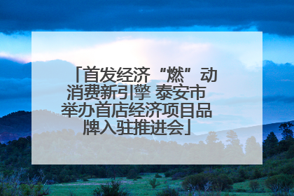 首发经济“燃”动消费新引擎 泰安市举办首店经济项目品牌入驻推进会