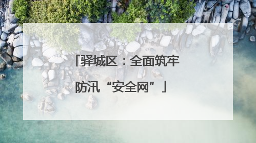 驿城区：全面筑牢防汛“安全网”