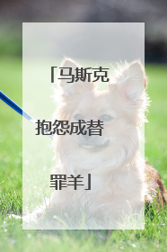 马斯克抱怨成替罪羊