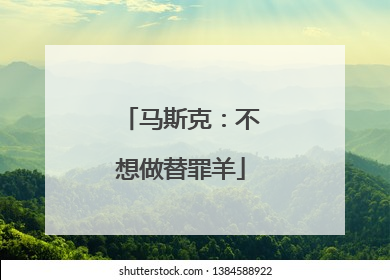 马斯克：不想做替罪羊