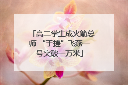 高二学生成火箭总师 “手搓”飞燕一号突破一万米