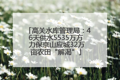 高关水库管理局：46天供水5535万方 力保京山应城32万亩农田“解渴”