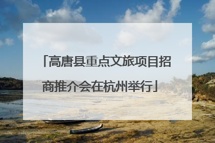 高唐县重点文旅项目招商推介会在杭州举行