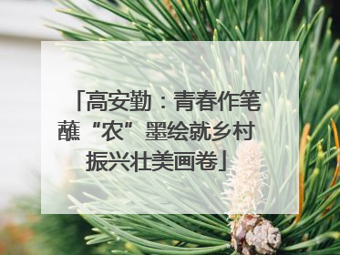 高安勤：青春作笔蘸“农”墨绘就乡村振兴壮美画卷
