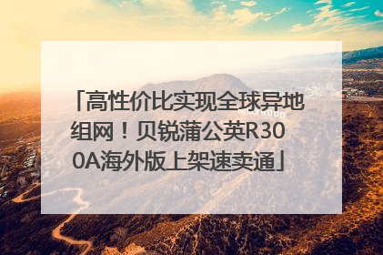 高性价比实现全球异地组网！贝锐蒲公英R300A海外版上架速卖通
