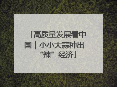 高质量发展看中国｜小小大蒜种出“辣”经济